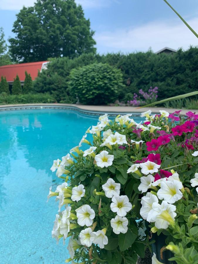 Manoir Alegria Bed & Breakfast Cowansville Bagian luar foto